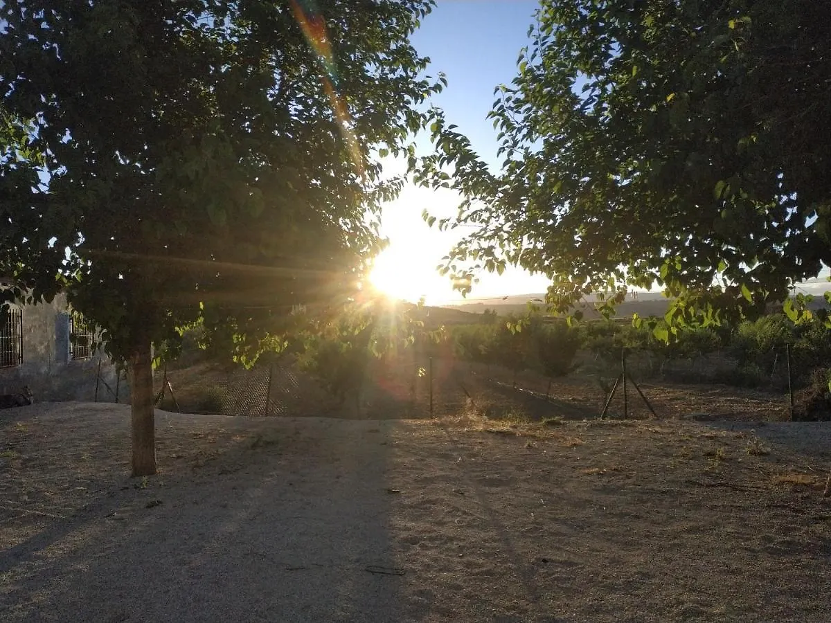 Holiday home Cueva Los Prados Graena Spain